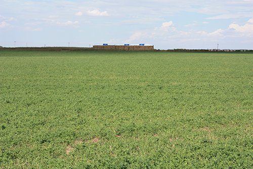 Property photo 21 - LAND AUCTION, 3255+/- Acres offered in 13 Tracts